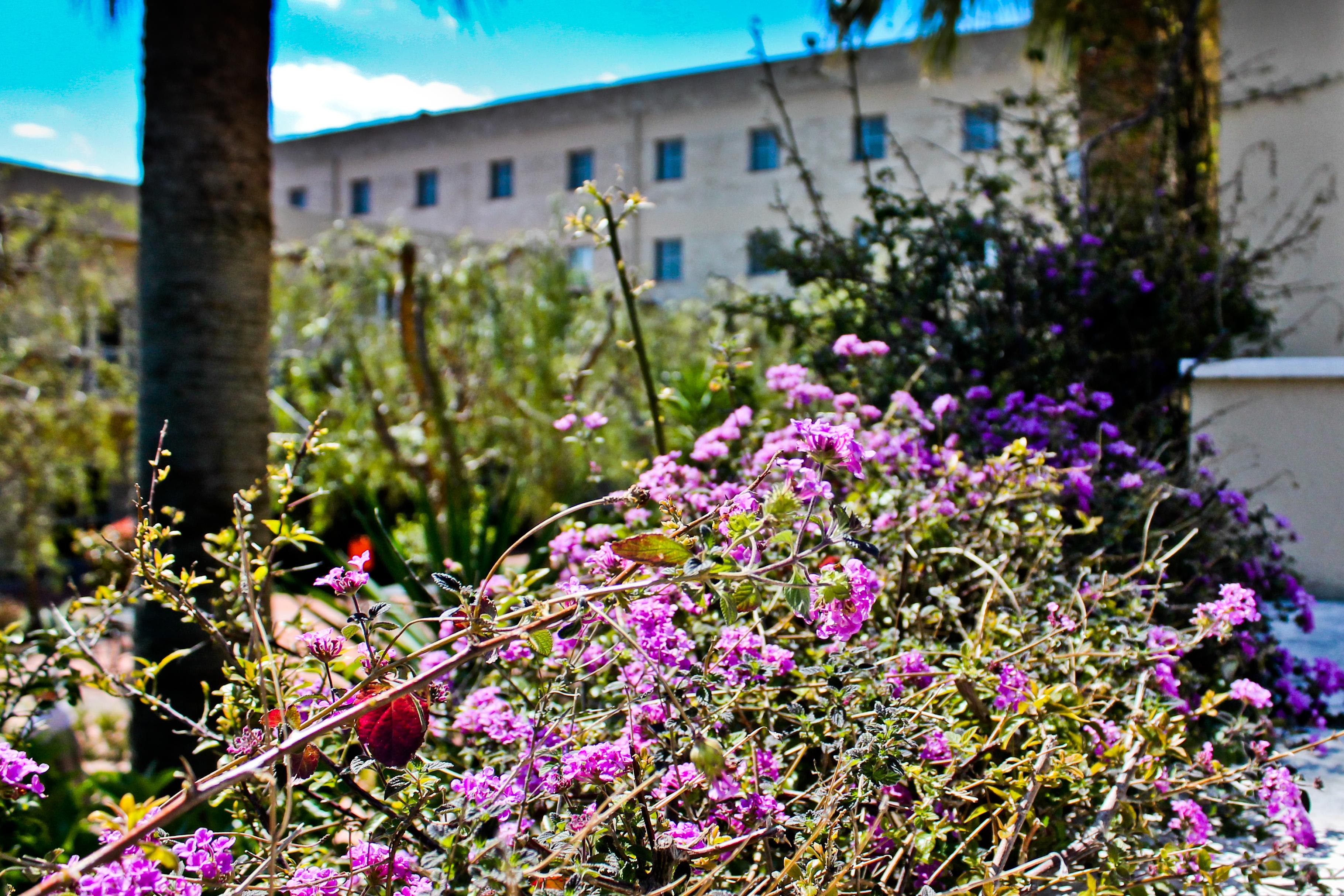 Majesty Hotel Bari